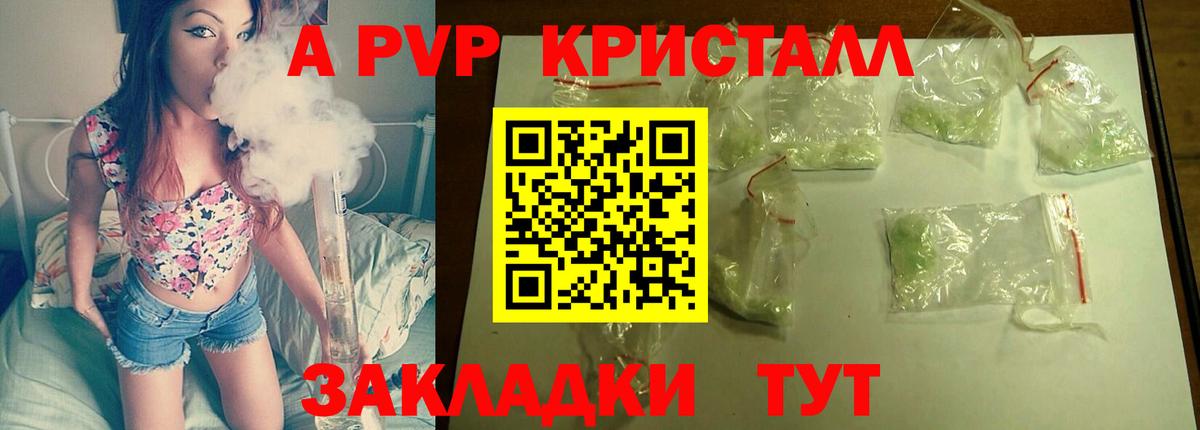 A PVP СК КРИС  Вход с VPN  Курск  Alpha-PVP  Alfa_PVP VHQ 