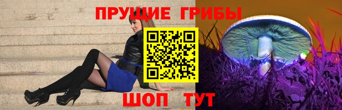 Псилоцибиновые грибы прущие грибы Курск